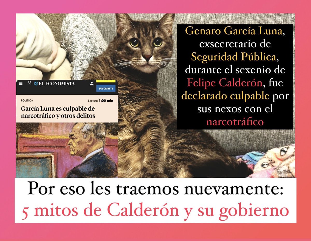 Holi, ya declararon culpable a García Luna y por eso van otra vez los 5 mitos de Felipe Calderon, en estos tiempos en que algunos parecen tener amnesia.

Por cierto, Dónde estará pasando Calderón este día? ¿Ya estará huyendo?