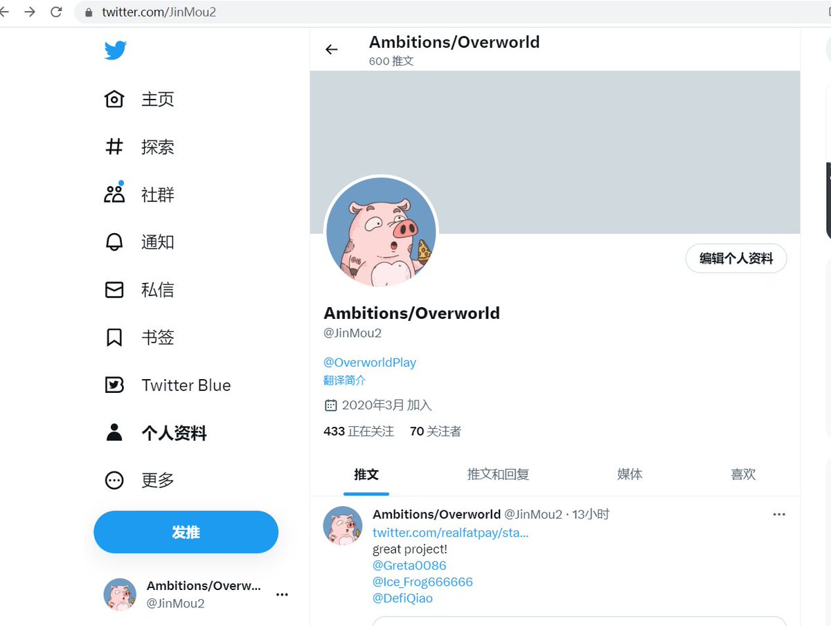 Ambitions/Overworld tweet media