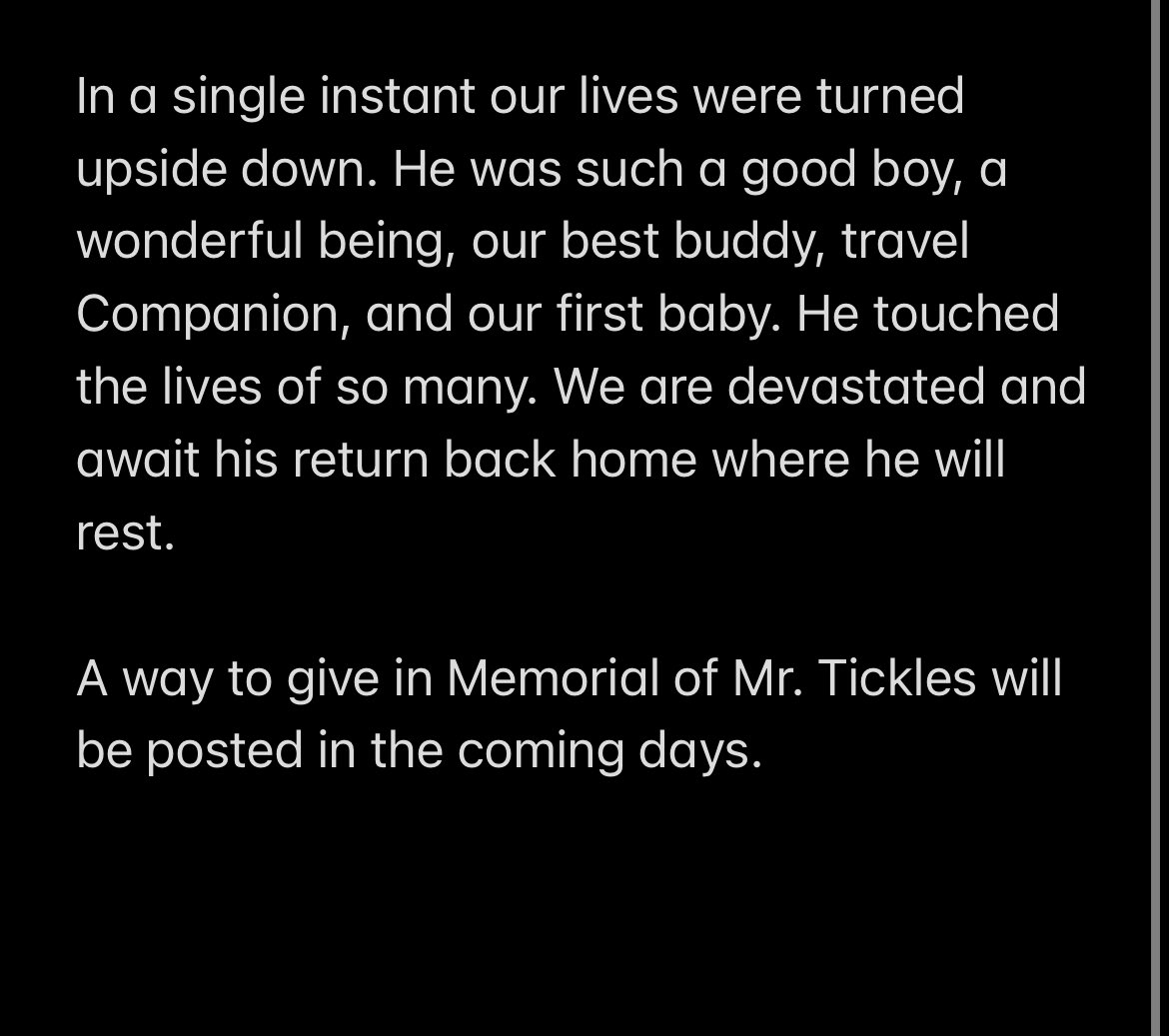Mr. Tickles tweet media