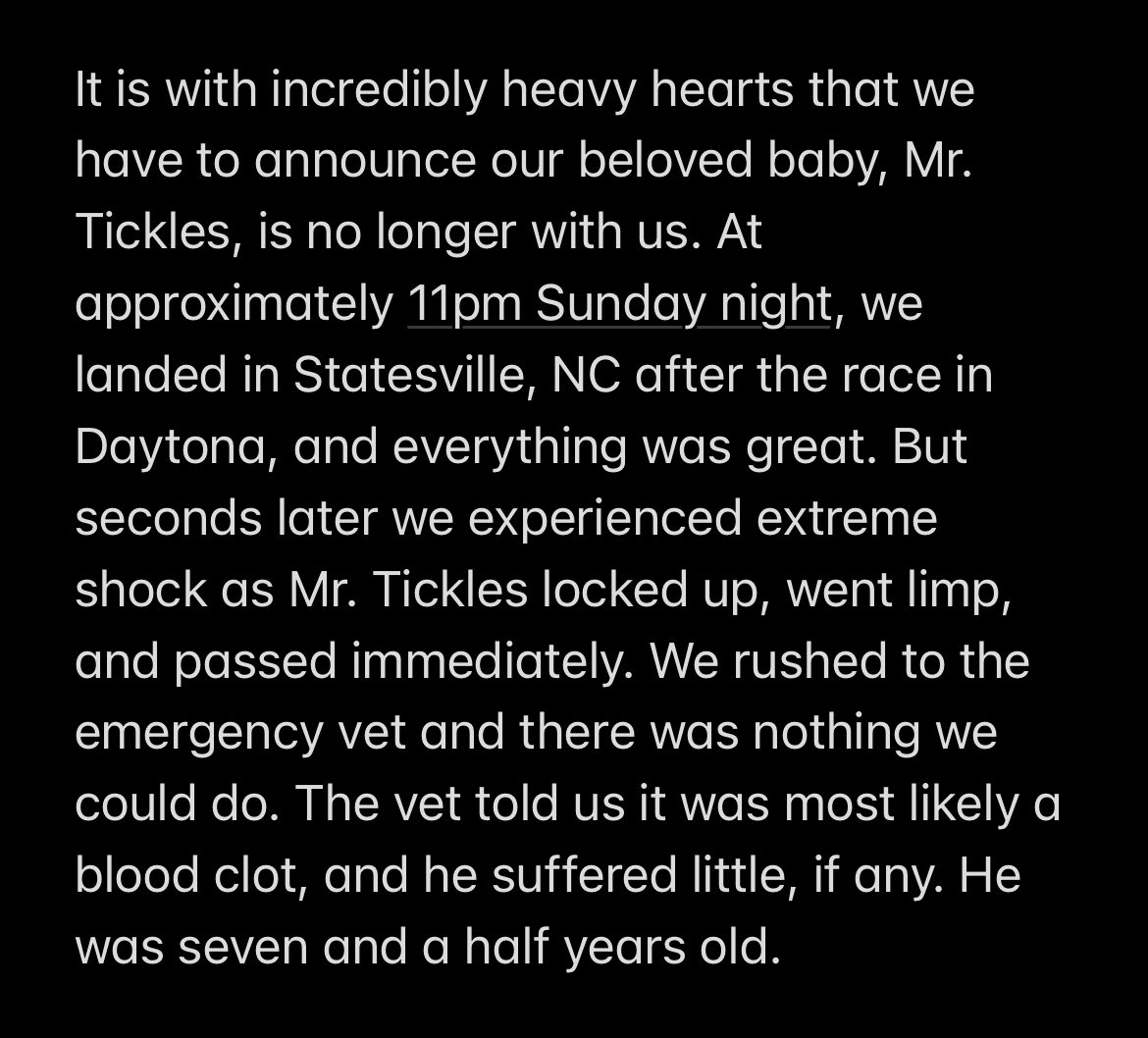 Mr. Tickles tweet media