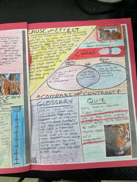 SPS English Dept tweet media