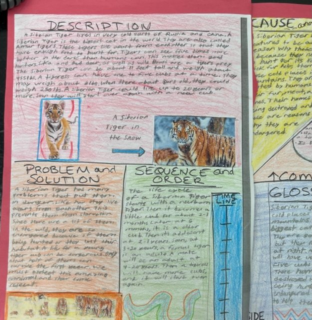 SPS English Dept tweet media