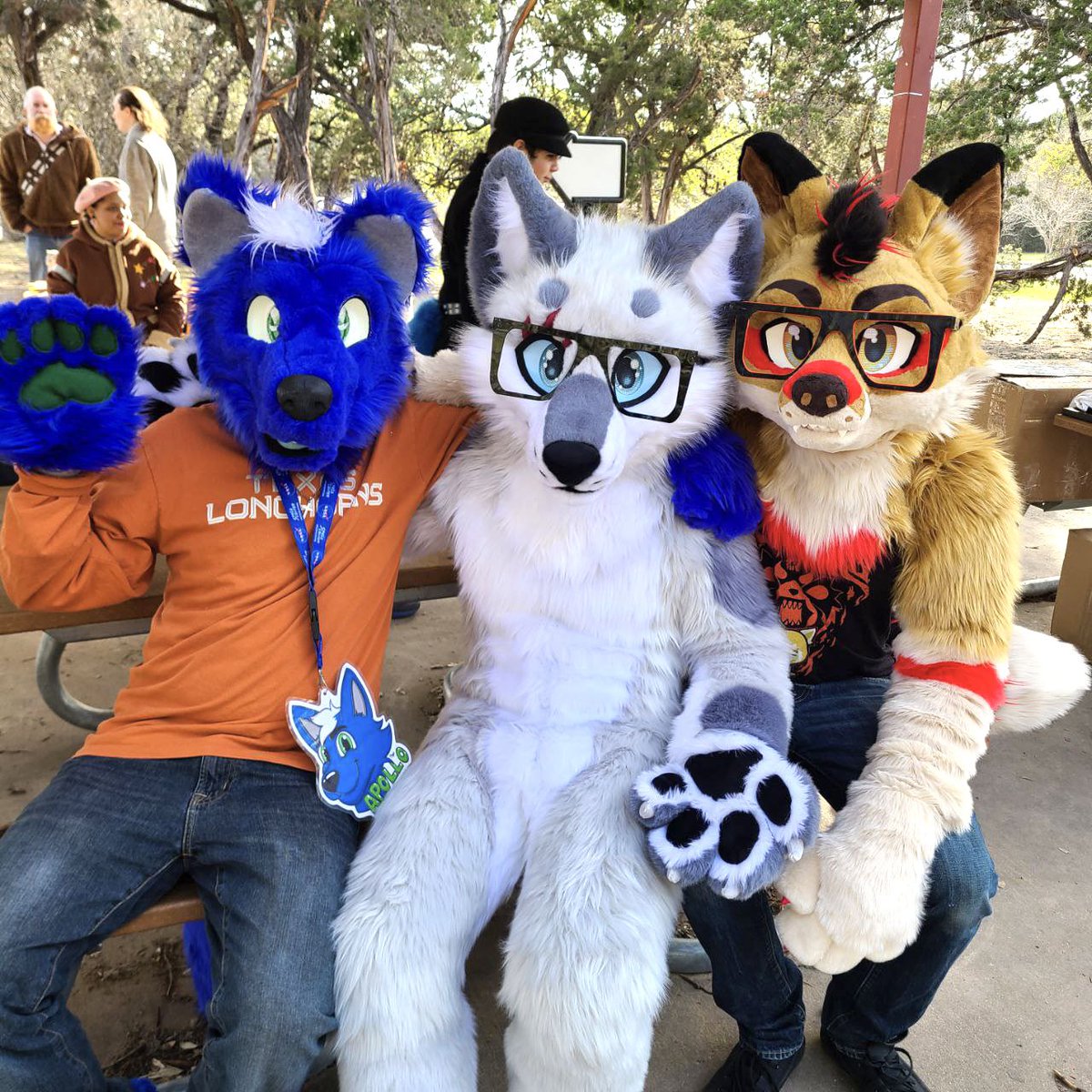 ApolloBlueWolf's tweet photo. Had a great time at the Austin Park Bark on Saturday! https://t.co/8w6GXUtcSy