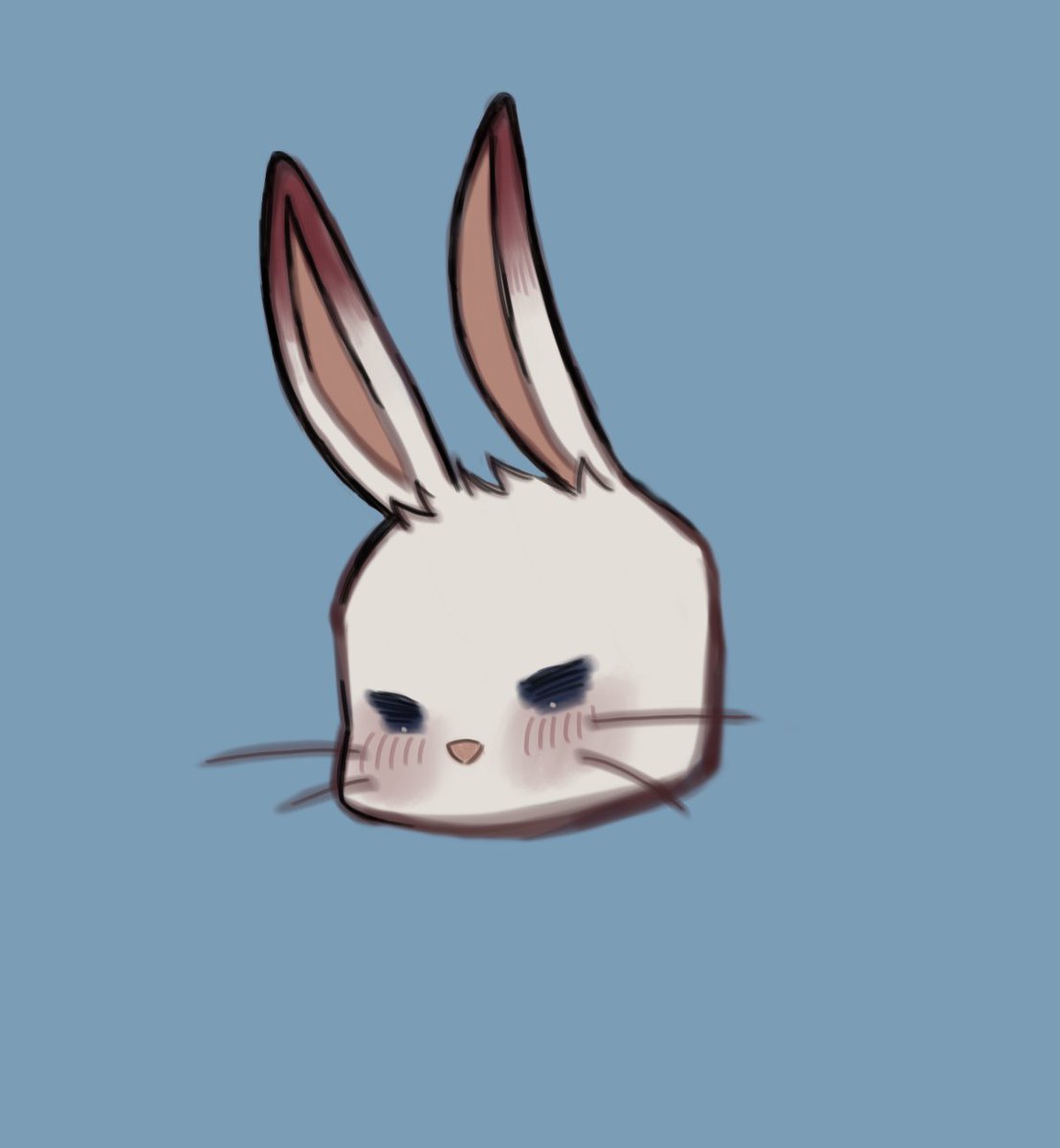 🐰🧡💙
