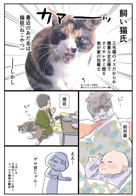 #猫の日 