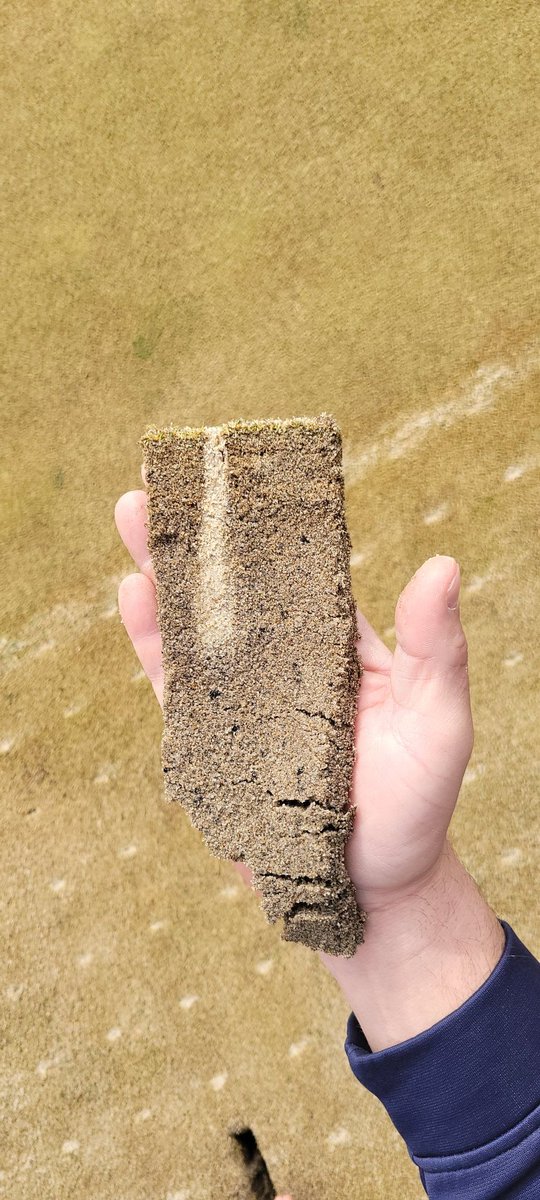 Scott Countryman tweet media