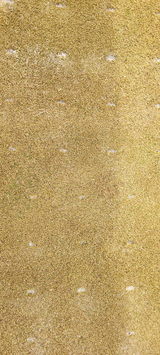 Scott Countryman tweet media