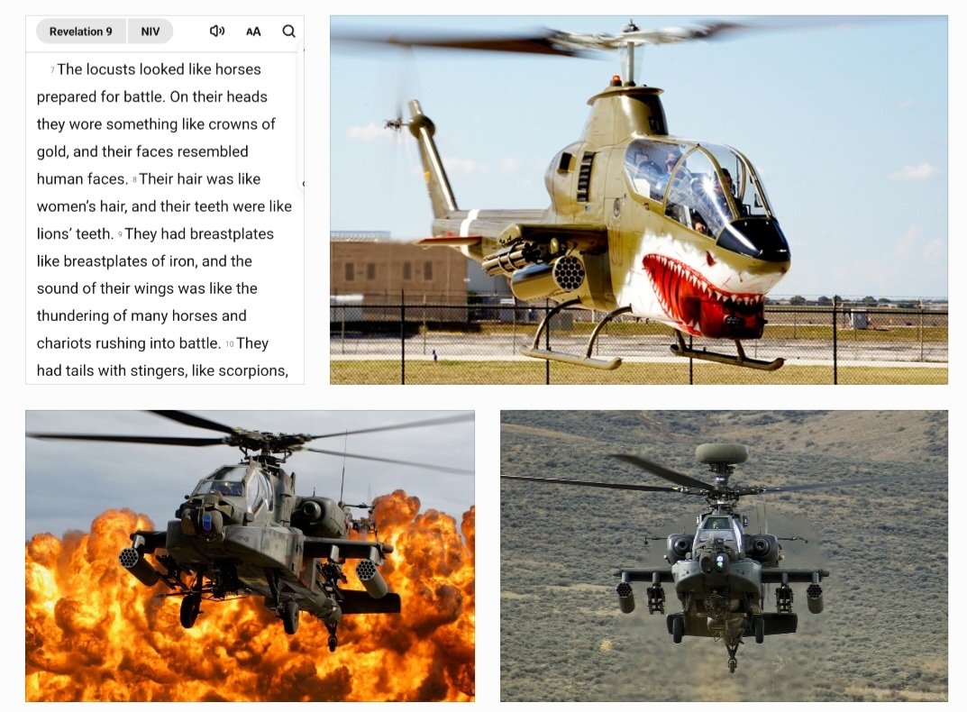 Amazingly detailed vision from John 2000 years ago... Revelations 9.  If this is what he saw, his description is incredibly accurate...