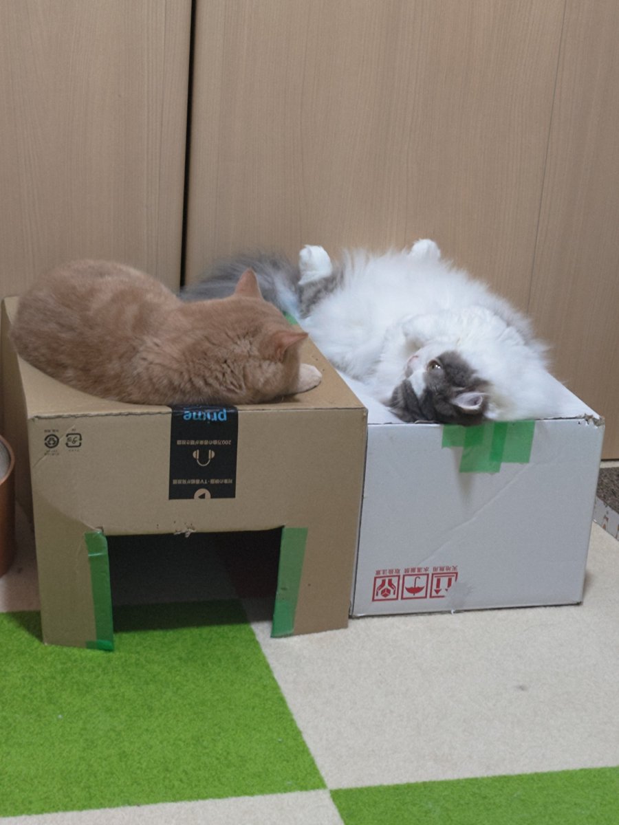 CatTakuma's tweet photo. おまけ2 https://t.co/LbdW60w1FU