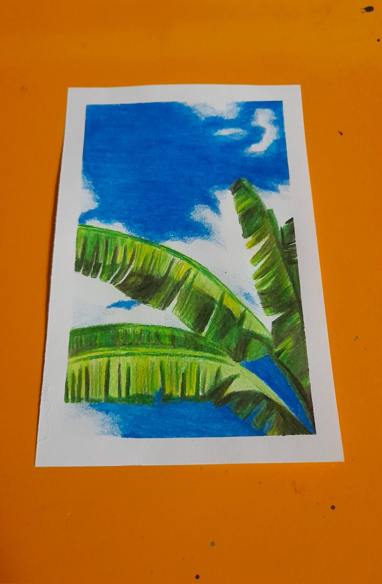 XxNightblazexX's tweet photo. Being sick isn't gonna stop me. Day 21!
#FebruaryLeaves
#oneaday 
#art #leaves #banana #tropical #sky #pencilcrayon #colourpencil https://t.co/ItWJuL8aVc