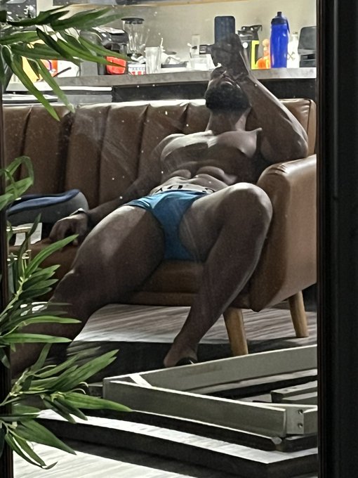 damnimfinee