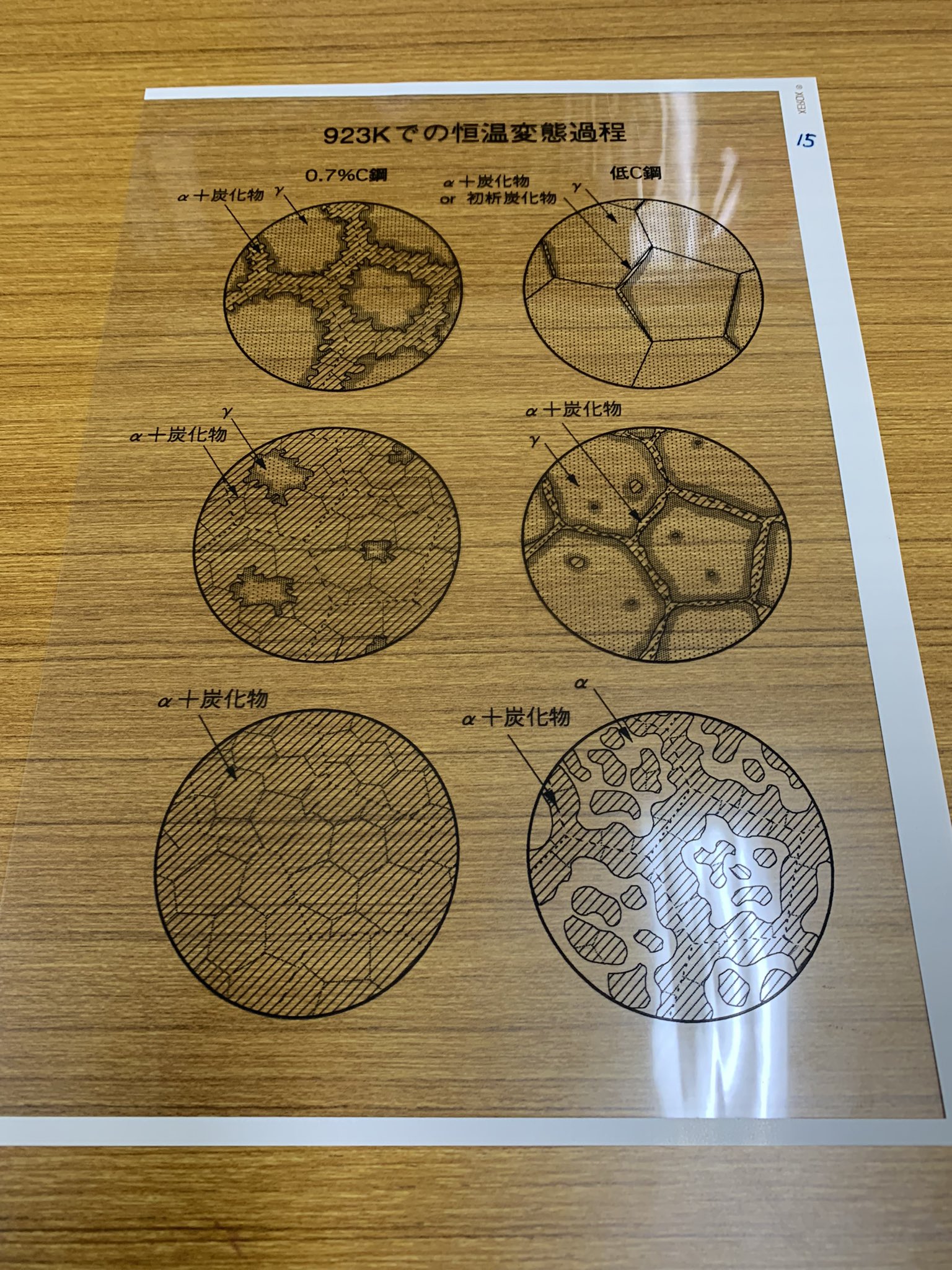 未使用 希少 レア 廃盤 HGS 立体化学分子模型 丸善(MARUZEN) DNA