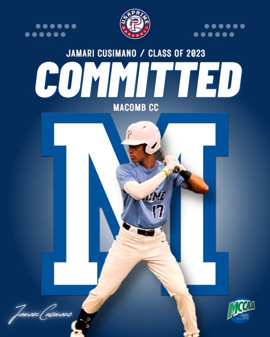 USA Prime Michigan Baseball & Softball tweet media