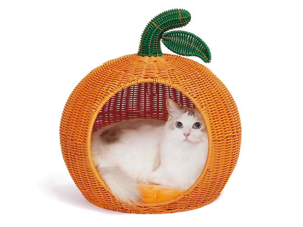 RangersJapan's tweet photo. 当ストアでは海外の超絶可愛いブランド「#VETRESKA」の猫グッズも取り扱っております。
非常にフォトジェニック、うちの猫さまにぜひともご利用いただきたい気持ちになる品々でございます!
ぜひストアをチェックしてみてください🐱
https://t.co/2L2uw9SRx4
#猫の日 #猫の日2023 https://t.co/qBJqBCfsYw
