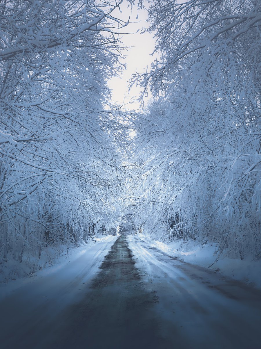 Mike_Myza's tweet photo. A Snow Capped Romance.
#photography #snow #winterwonderland #vermont https://t.co/fOYqUxIeHk