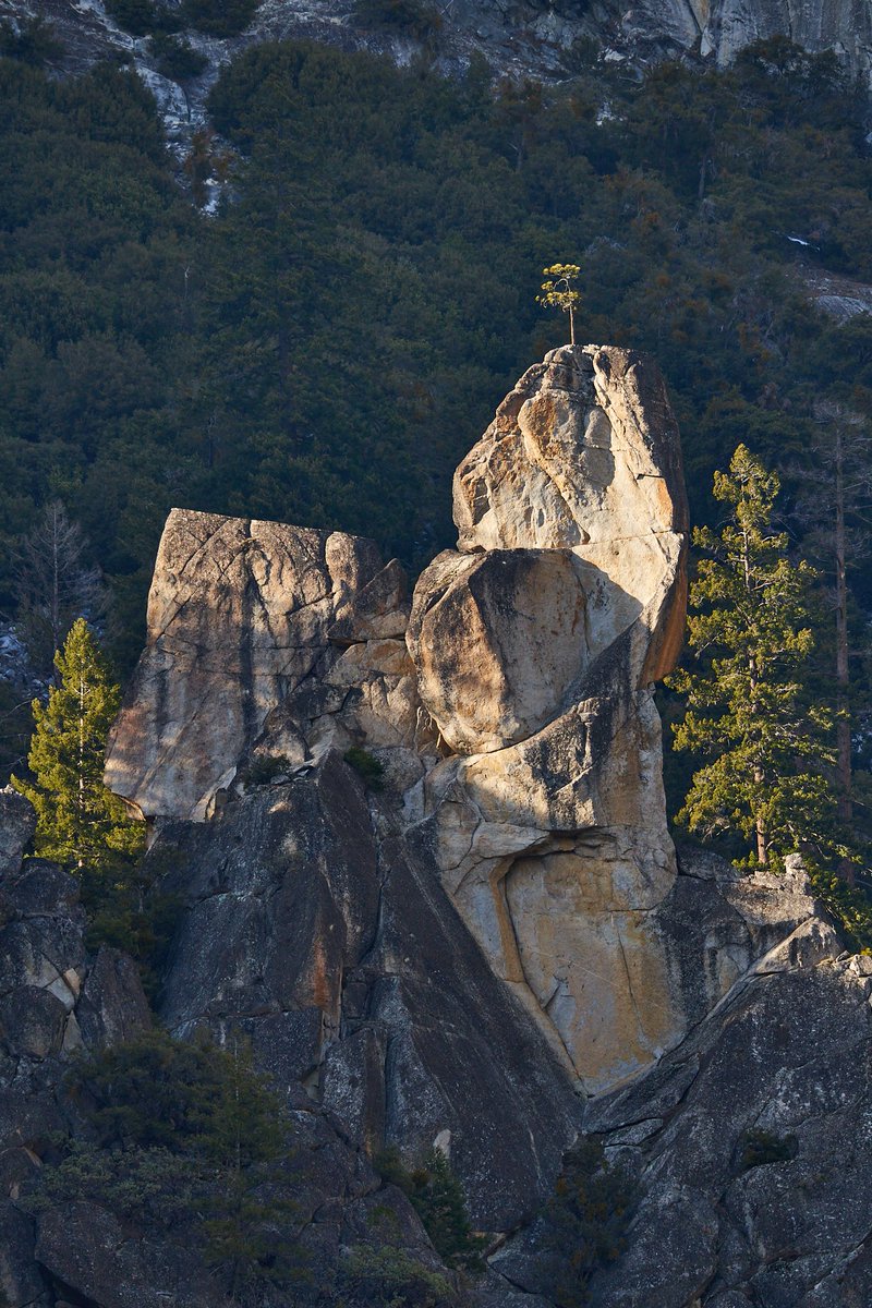 SceneSprout's tweet image. Yosemite NP was pure magic! The Fire Falls did not disappoint! #yosemitenationalpark #firefalls #landscapephotography
