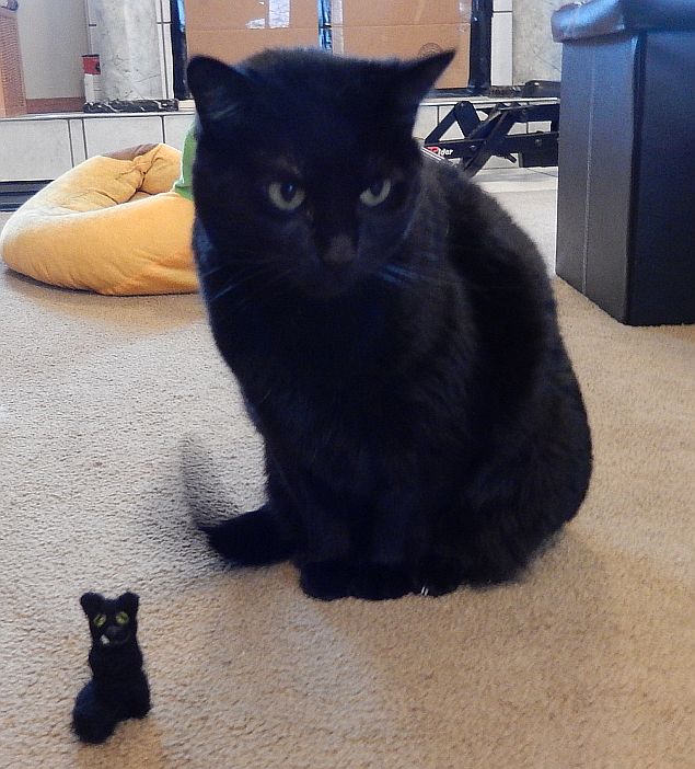 Hi doodz! My baybeesitter next door made a me! Hee hee hooo! Esther thinked I shrinked! 😹 She can make yoo too if yoo want! @Blutospin @cat01cat01cat01 @LuckyDaPuppyCat @LordGraydon @mollytheshihtz @WinterStar21 @WitchetyMog @MoetBlindCat @PicklesBottom @badpiratemonkey