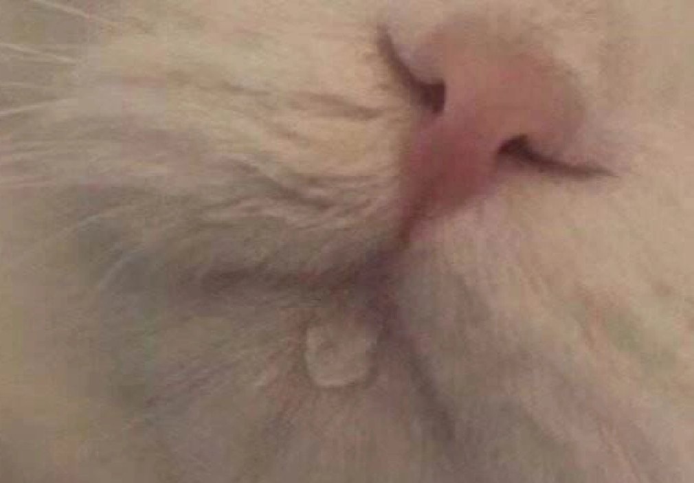 suckdicker668's tweet photo. https://t.co/bAsRBtRJO2