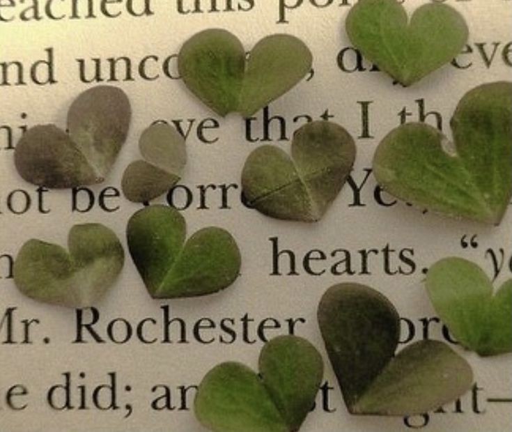 มอนิ่งนะคะ🌄
มาถึงกลางสัปดาห์แล้วนะเป็นไงบ้างคะถ้ามีเรื่องที่ไม่น่ารักมินิทกอดโอ๋น้ายังไงก็ขอให้ทุกอย่างราบรื่นดูแลสุขภาพด้วยนะคะ🍀✨