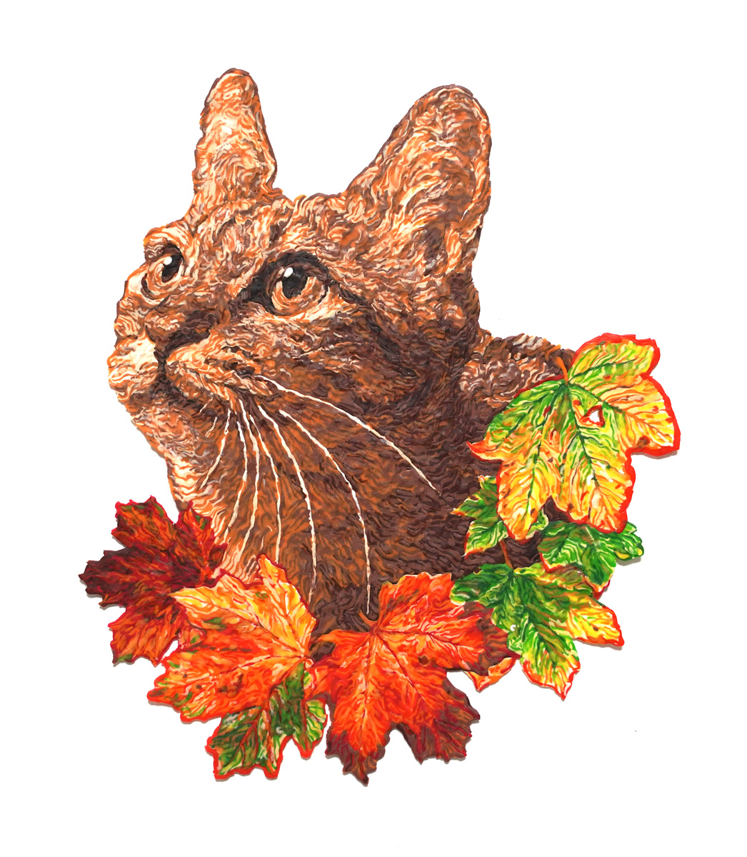 no humans white background simple background animal focus leaf animal cat  illustration images