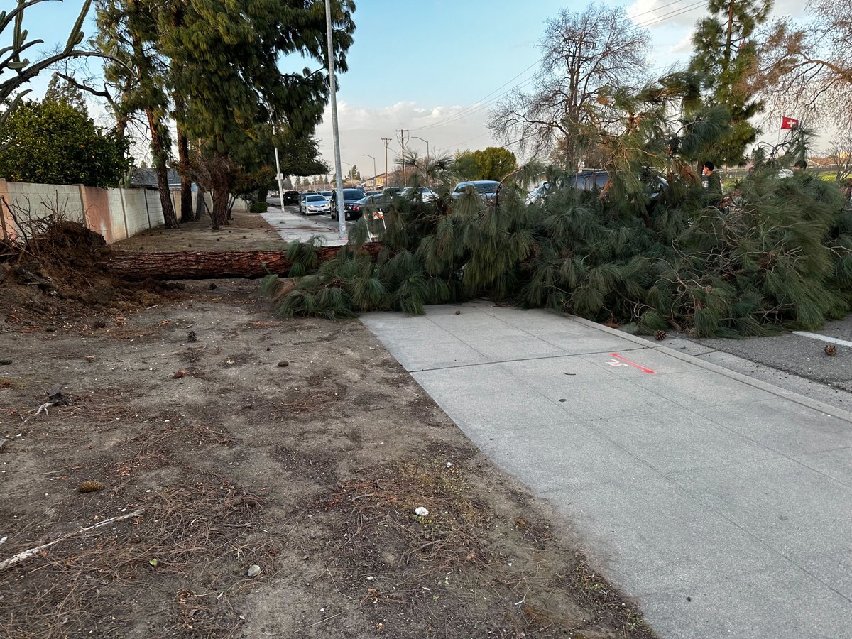 newsortiz's tweet image. #WindWarning We're getting reports of trees falling all over Fresno. This one is at Fowler near Dakota Ave. Stay safe out there everyone. @KevinMussoABC30 will have the latest on our #AccuweatherAlert Live at Six.