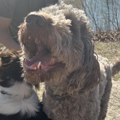 #NewProfilePic