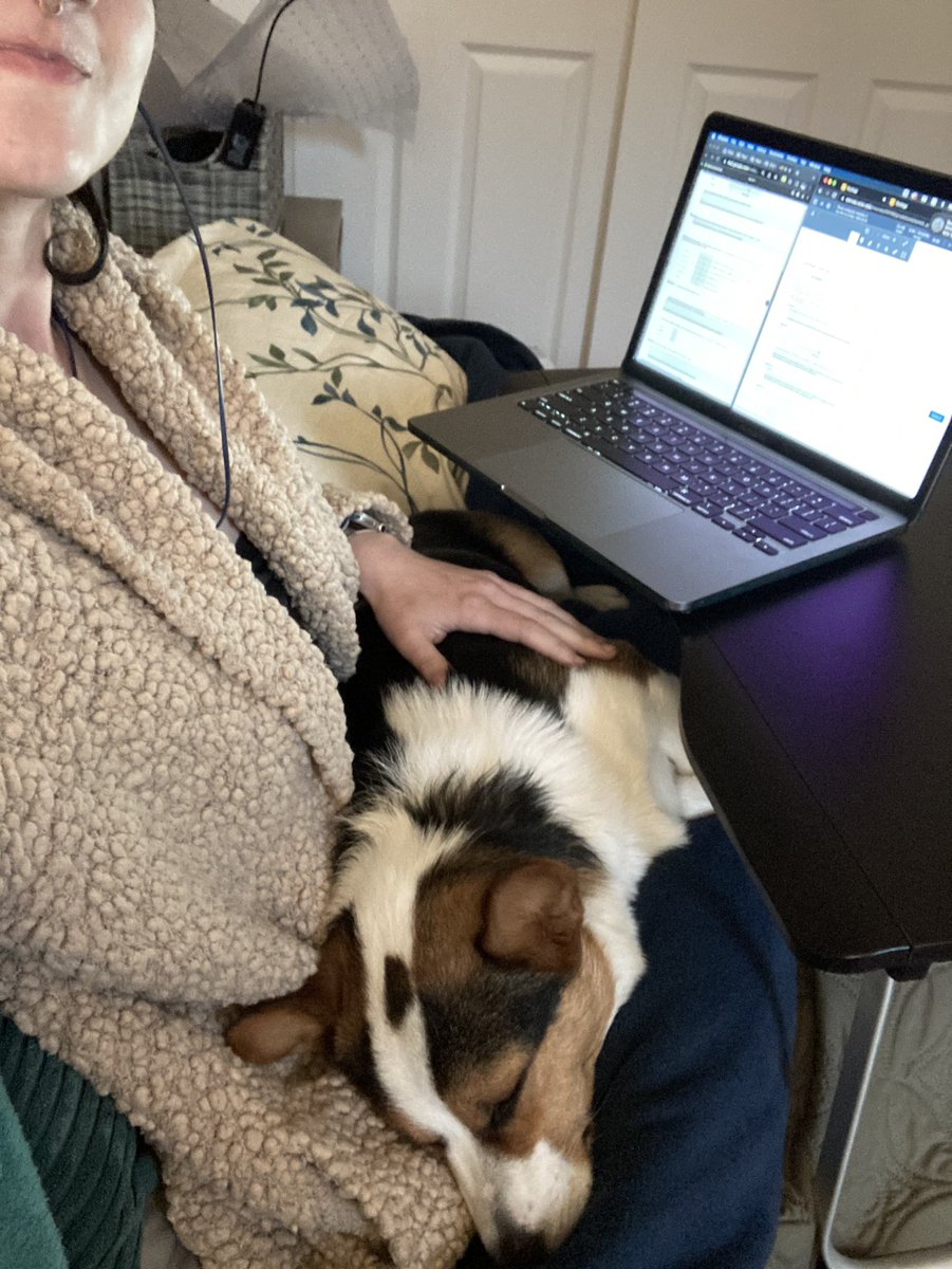 My grading buddy 🧑‍🏫🐶