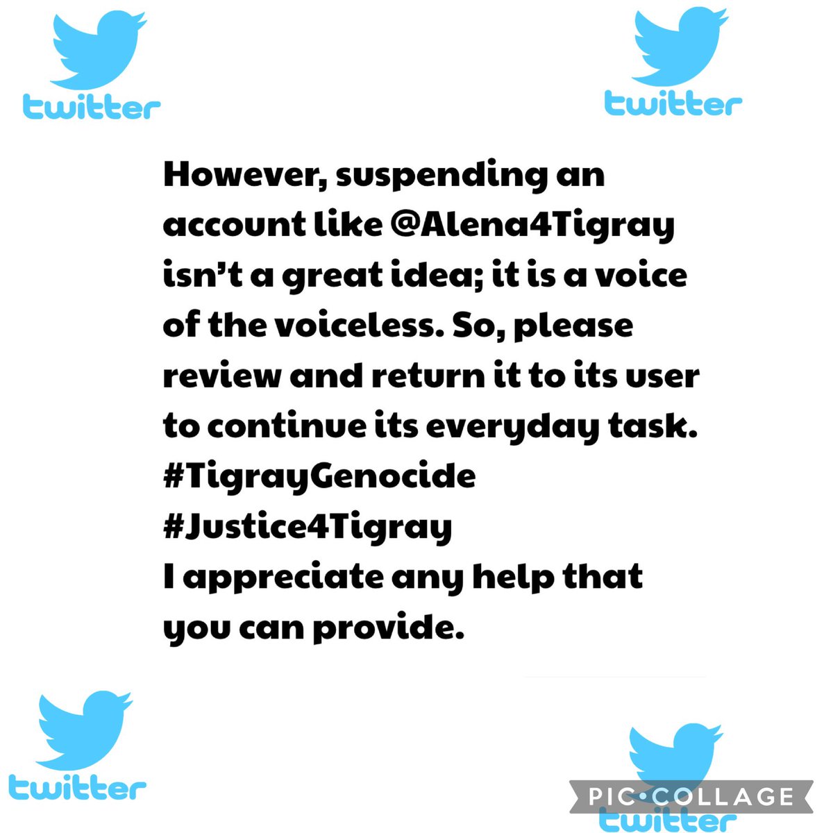 Dear: @elonmusk @Twitter @TwitterSupport @TwitterSafety We, #Tigrayans, are grateful for the fantastic and helpful App you created to connect the world in a decent, ethical and professional way. ‘the best platform ever’.