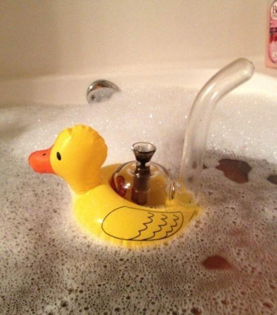 WeirdBongs's tweet photo. https://t.co/5w8yHifbfT