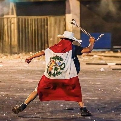 MariaPekin2's tweet photo. Acá estoy practicando para la revolución que lideraré desde las calles de Lima 🥰
#MariaPekin 🤡 https://t.co/q2NOcFjya8