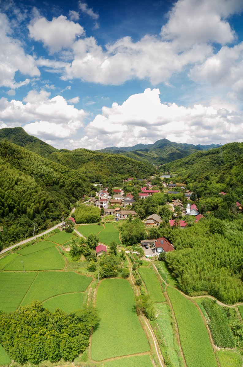AnhuiTravel's tweet image. With the spring sunshine, you can come to Ningguo to temporarily escape the hustle and bustle of the city and pick fruits at the farm or fly kites on the country lanes. Here you can enjoy the sunshine to relax mood. 
#GreenNingguo #AdmireAnhui #SpringLook #TrackAnhui