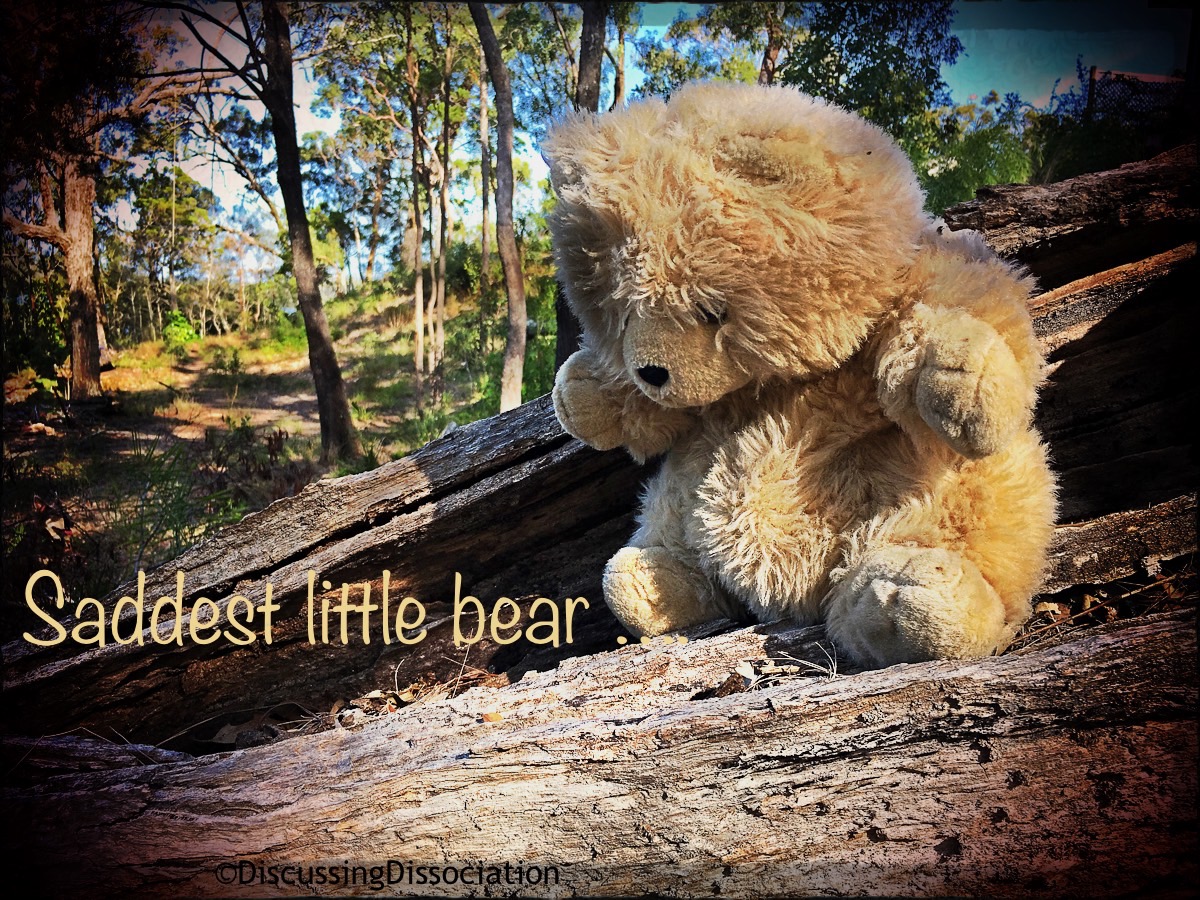DiscussingDID's tweet photo. The Saddest Little Bear Dissoci-ACTION Story Pack is READY ! https://t.co/9pQ1rPj6C3 Do you need help and guidance with meeting new parts in your system?  This Story Pack should be helpful information for you.#DIDMPD #childparts #DIDalters #DIDcommunication https://t.co/FTH9245K8B