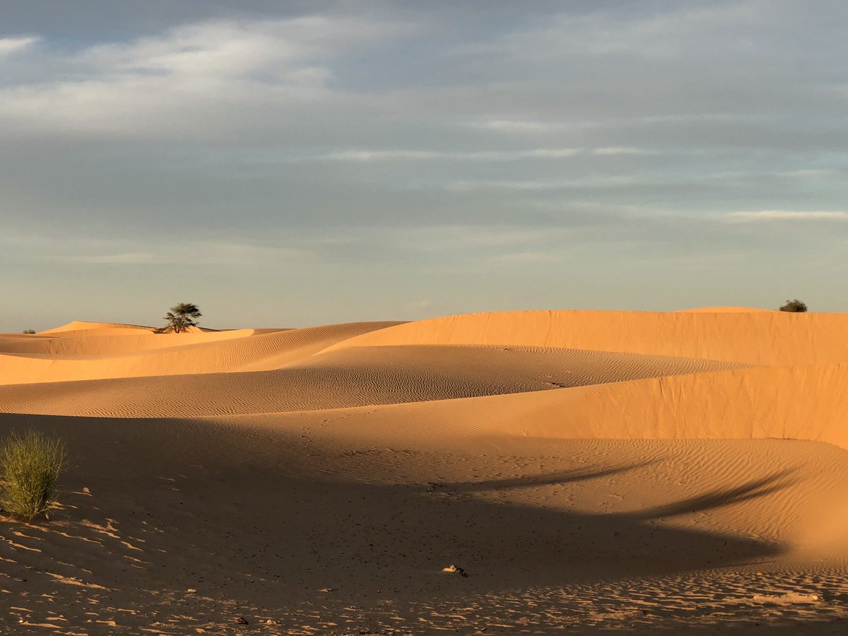 MossaRazelma's tweet photo. Ce n’est pas Dubaï mais le Village d’Ediar dans la région de Tombouctou. https://t.co/Ym1h7YoaYB