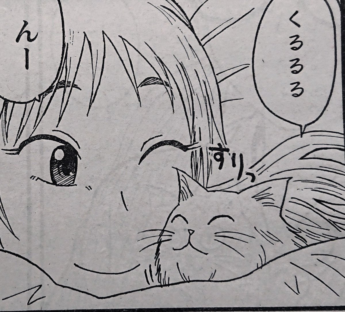 ビバ ねこのひ

#猫の日 