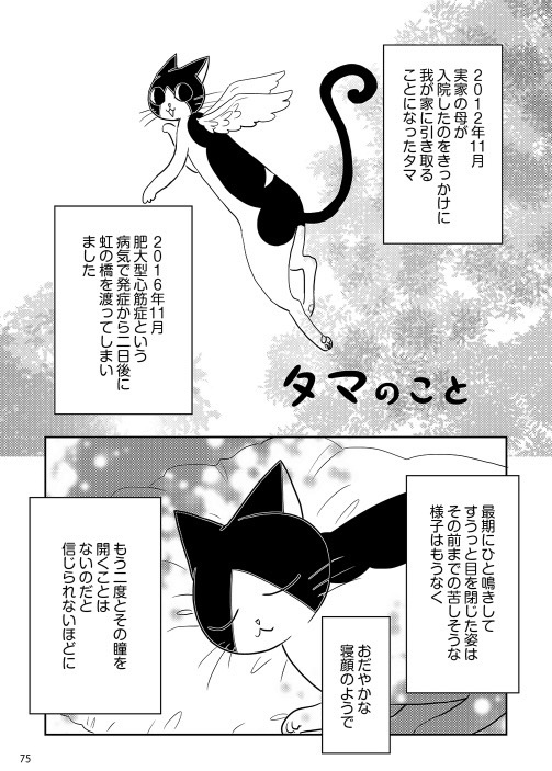 #猫の日 ということなので。ほぼ定期で流している「タマのこと」とその後の「ミーさんとクロちゃんのこと」をツイートします。 1/2  #タマたま猫生活