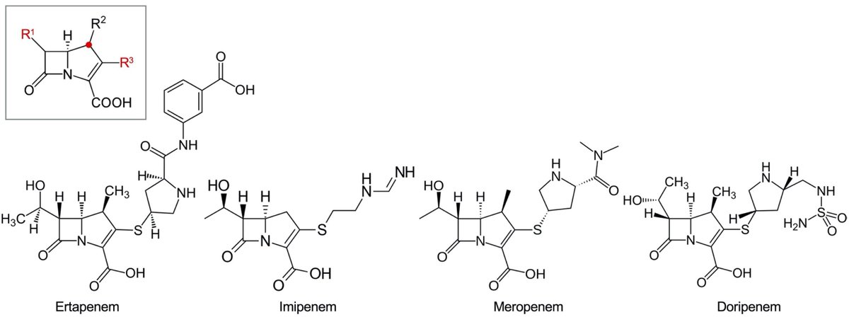 drtimothyli's tweet photo. Ertapenem, unlike other carbapenems, is not an anti-pseudomonal antibiotic

Why?

It has a significantly more bulky moiety at the R3 position of its carbapenem backbone, resulting in a weak affinity to the PBP3 of P. aeruginosa

https://t.co/4SjTWPjBm1 https://t.co/tsD9GLJjJn