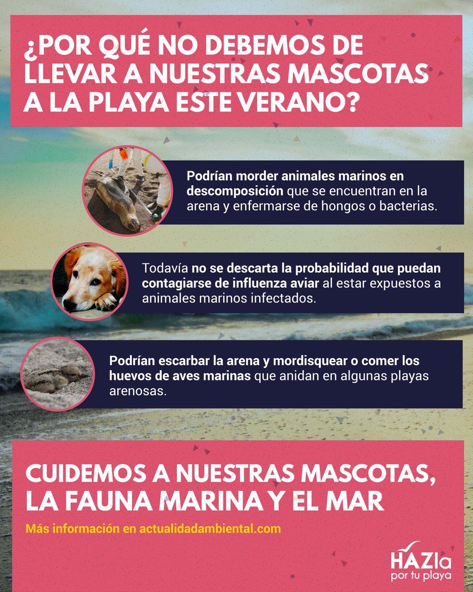 HAZla por tu Playa (@hazlaplaya) on Twitter photo ⚠️Evitemos llevar mascotas a las playas⚠️
Aunque son grandes compañeros, su presencia en el mar podría generarles problemas tanto a ellos como al ecosistema, ya que estarían expuestos a virus y bacterias.
Fuente: <a href="/actualidadspda/">Actualidad Ambiental</a> ⚠️Evitemos llevar mascotas a las playas⚠️
Aunque son grandes compañeros, su presencia en el mar podría generarles problemas tanto a ellos como al ecosistema, ya que estarían expuestos a virus y bacterias.
Fuente: <a href="/actualidadspda/">Actualidad Ambiental</a>