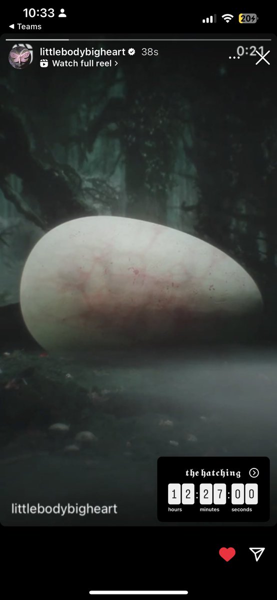 WAKE UP SHES GONNA HATCH