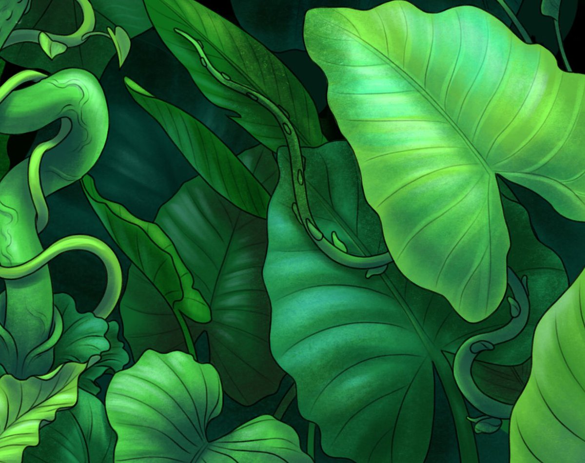 gingerhaole's tweet photo. I’ve spent 25 hours painting the best foliage of my life, for a piece so nsfw I hesitate to even post it to pa/tre/on. Please witness this flora 🌿 https://t.co/Zy9d9EimSu