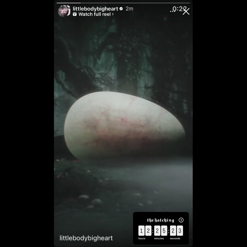 Melanie Martinez sets a countdown on her Instagram story. 

“the hatching”