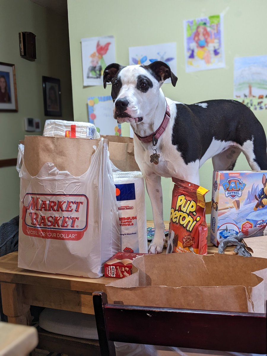 ddefalco326's tweet photo. Did someone say it's #NationalLoveYourPetDay ? https://t.co/2gHITiqf0I