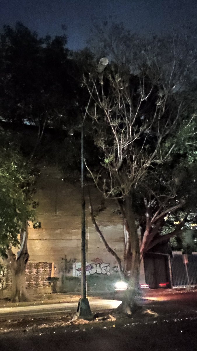 Yulz_22's tweet photo. @OVIALCDMX quiero reportar semáforos que no sirven y luminarias que no encienden en Colonia Escandón en @AlcaldiaMHmx https://t.co/Rp285R3OxD
