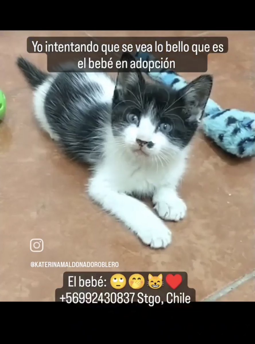 Isabelyuffer's tweet image. 