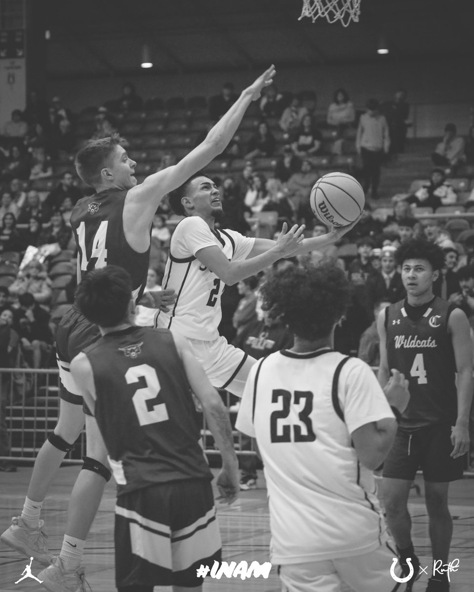 PuebloSouthBB's tweet photo. 𝙒𝙚 𝙬𝙚𝙧𝙚 𝙫𝙞𝙘𝙩𝙤𝙧𝙞𝙤𝙪𝙨.

Head to our IG/FB to take a look back at our favorite clutch shots from last week as we prepare for tomorrow’s playoff game.

#INAM | #COLTure | #COPreps https://t.co/RuAaz9tSgi