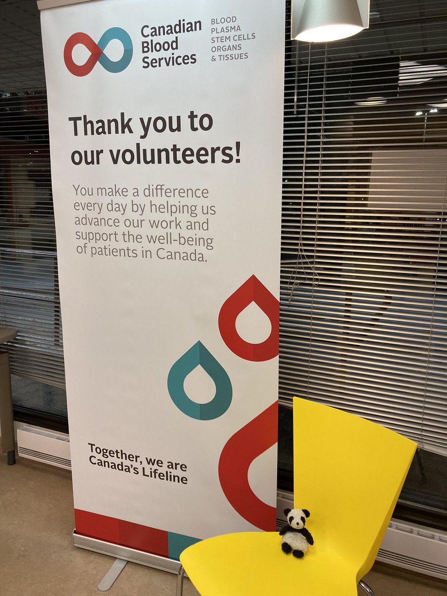 Adventure_Gauss's tweet photo. Today I was a supportive bear to my human when we went to the blood donor clinic. She gave blood, I gave cuddles. Then we had a yummy snack. Check out the GiveBlood app to book an appointment to donate. #Giveblood #canadaslifeline #supportBear @CanadasLifeline @HemaQuebec https://t.co/kZjvhCWWjl