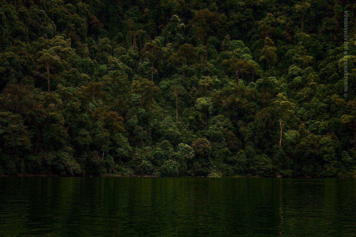 We not only lack dominion over nature, we’re subordinate to it. 

#EarthCapture #DayangBunting #NaturallyLangkawi #ThePhotoHour #MalaysiaTrulyAsia #Lightroom