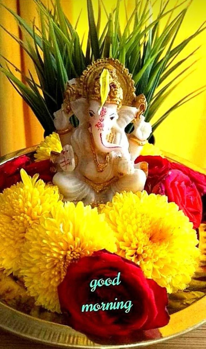 AkbalDubey's tweet photo. आज प्रथम पूज्य गणेश भगवान की अराधना का शुभ वार बुधवार है।लंबोदर विनायक की कृपा सभी पर बनी रहे! 
#गणेश_भगवान 
#सिद्धि_विनायक https://t.co/7ByVuH1n3K