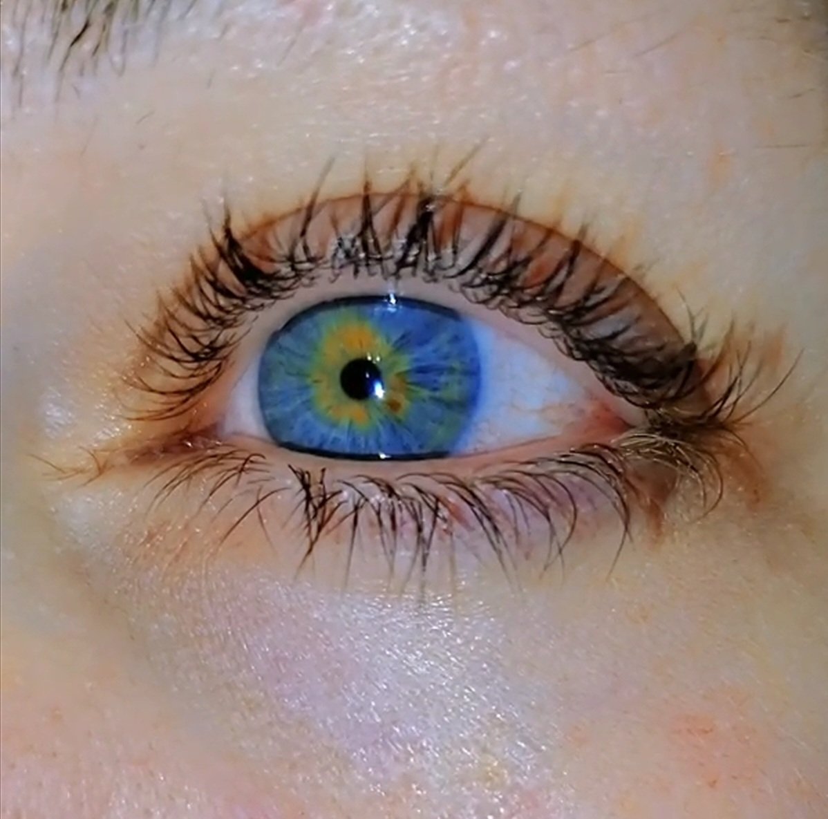 MandRSmasH's tweet photo. My eyeball is better than yours #fightme #BlueGreenEyes #eyes #justgoofing #HappyTuesday https://t.co/BV2BQYLDbP