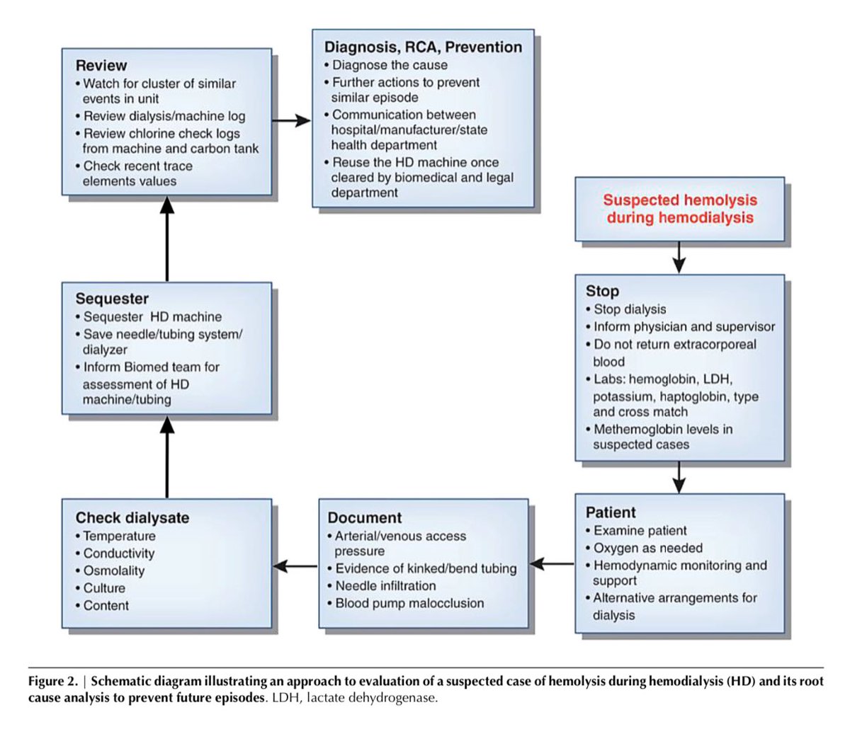 edgarvlermamd's tweet photo. Diagnosis, Treatment, and Prevention of Hemodialysis Emergencies π¨ ca. 2017 from @CJASN #Nephpearls #AskASN #NephJC
ππΌ https://t.co/Bv0hUCmf2F https://t.co/mwOVJNatEM