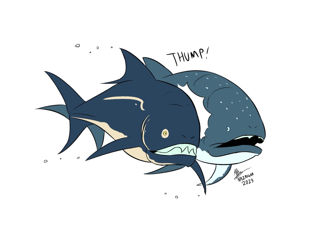 Nicolas Siregar (Commissions Open 2/4) (@A3Dnazrigar) on Twitter photo 2023-02-22 03:02:45 Warm up! The short squat Dunkleosteus body made me think: That thing looks like it can do short bursts of speed!
So here you go... the Dunk tackling Titanichthys like an NFL linebacker in a territorial display.
#paleoart #dunkleosteus #marinebiology #paleontology Warm up! The short squat Dunkleosteus body made me think: That thing looks like it can do short bursts of speed!
So here you go... the Dunk tackling Titanichthys like an NFL linebacker in a territorial display.
#paleoart #dunkleosteus #marinebiology #paleontology